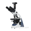 WF16X Student Biological Microscope Kit for Lab